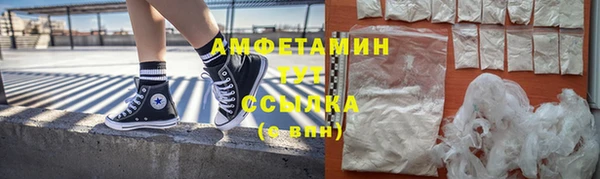 прущие грибы Коряжма