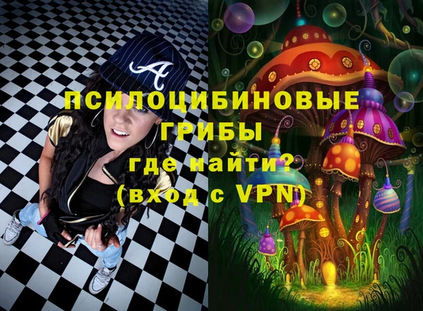 прущие грибы Коряжма
