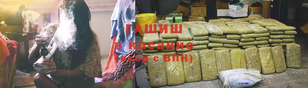 сатива Корсаков