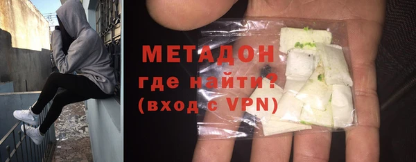 прущие грибы Коряжма