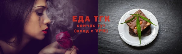 прущие грибы Коряжма