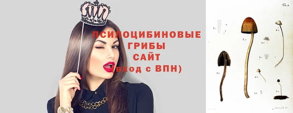 сатива Корсаков