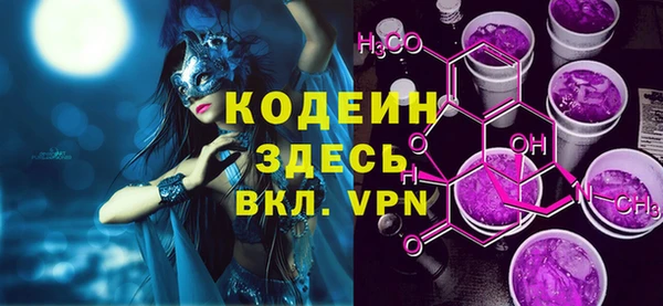 сатива Корсаков