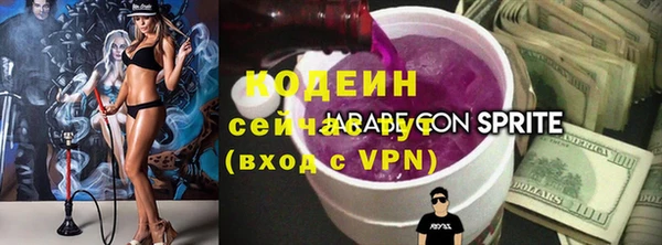 сатива Корсаков