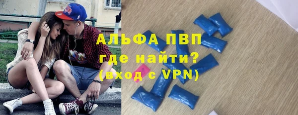 прущие грибы Коряжма