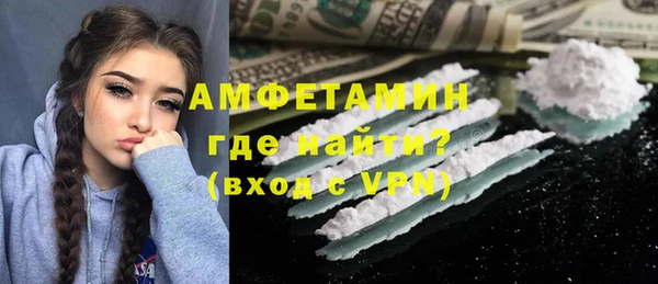 прущие грибы Коряжма