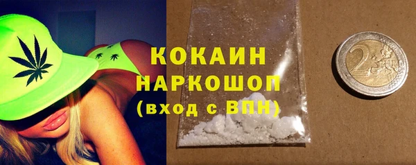 прущие грибы Коряжма