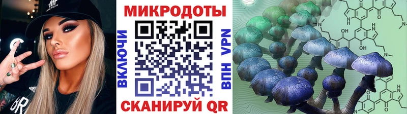 Купить где  Курганинск  Галлюциногенные грибы прущие грибы 